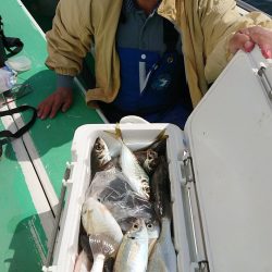 金沢八景鴨下丸 釣果