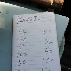 金沢八景鴨下丸 釣果