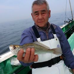 金沢八景鴨下丸 釣果