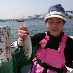 金沢八景鴨下丸 釣果