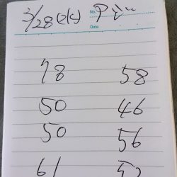 金沢八景鴨下丸 釣果