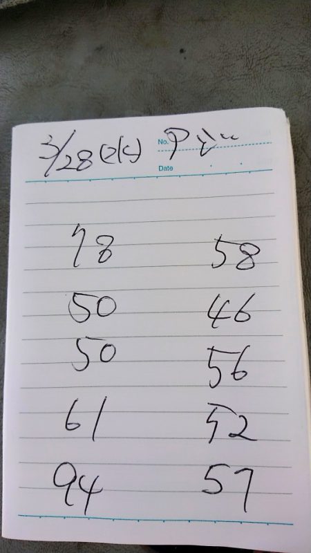 金沢八景鴨下丸 釣果