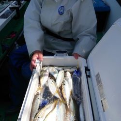 金沢八景鴨下丸 釣果