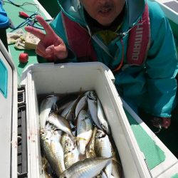 金沢八景鴨下丸 釣果