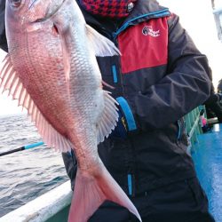 だて丸 釣果