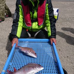 第三共栄丸 釣果