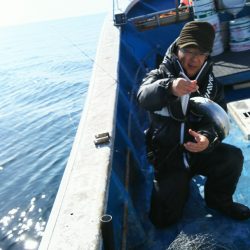 芳陽丸 釣果