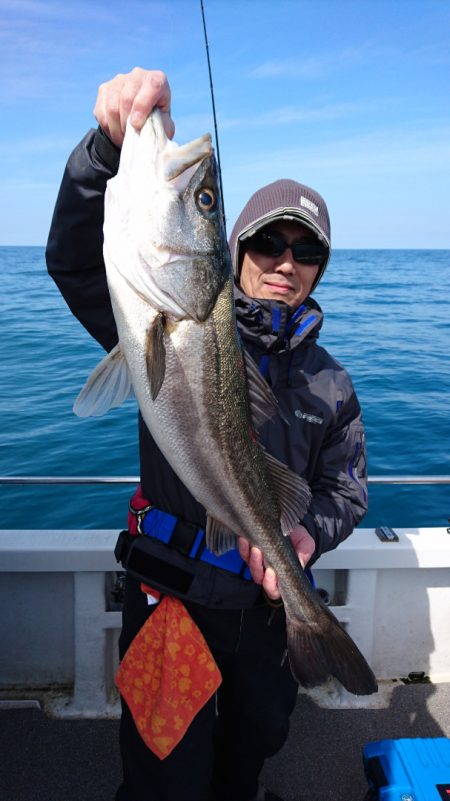 ARCADIAⅡ （アルカディアⅡ） 釣果