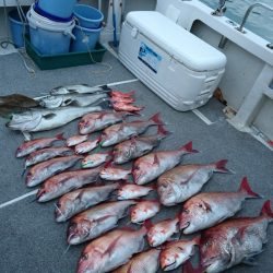 ARCADIAⅡ （アルカディアⅡ） 釣果