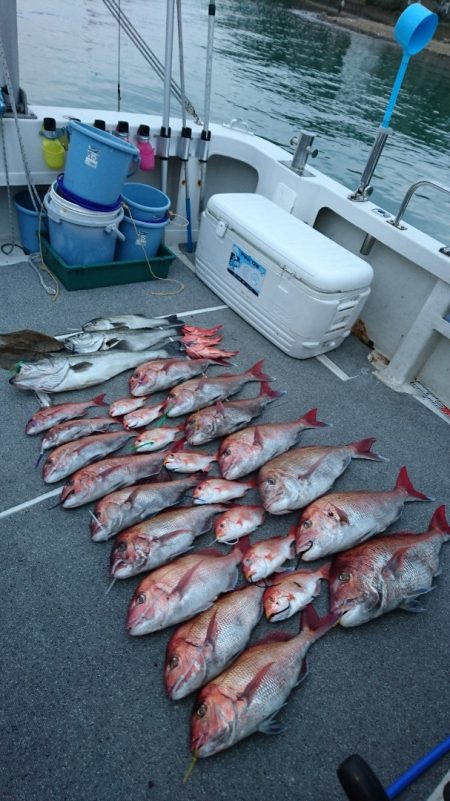 ARCADIAⅡ （アルカディアⅡ） 釣果