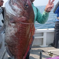 ARCADIAⅡ （アルカディアⅡ） 釣果