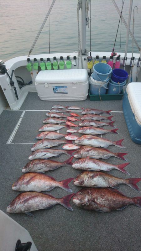 ARCADIAⅡ （アルカディアⅡ） 釣果