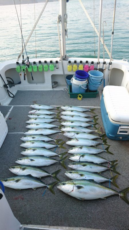 ARCADIAⅡ (アルカディアⅡ) 釣果