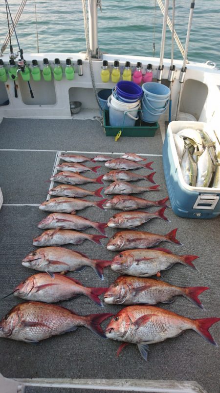 ARCADIAⅡ (アルカディアⅡ) 釣果