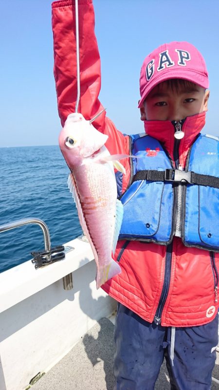 ARCADIAⅡ (アルカディアⅡ) 釣果