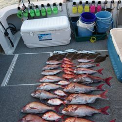 ARCADIAⅡ (アルカディアⅡ) 釣果