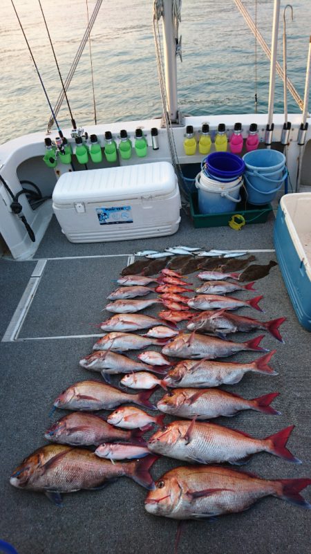 ARCADIAⅡ (アルカディアⅡ) 釣果