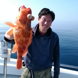 LUSTER『ラスター』 釣果