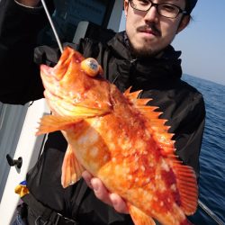 ARCADIAⅡ (アルカディアⅡ) 釣果