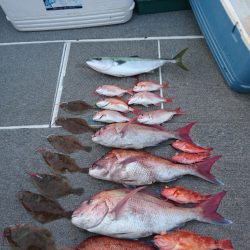 ARCADIAⅡ (アルカディアⅡ) 釣果