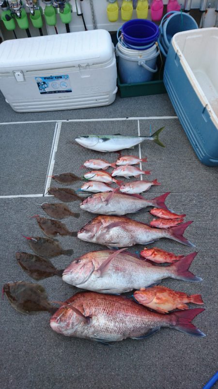 ARCADIAⅡ (アルカディアⅡ) 釣果