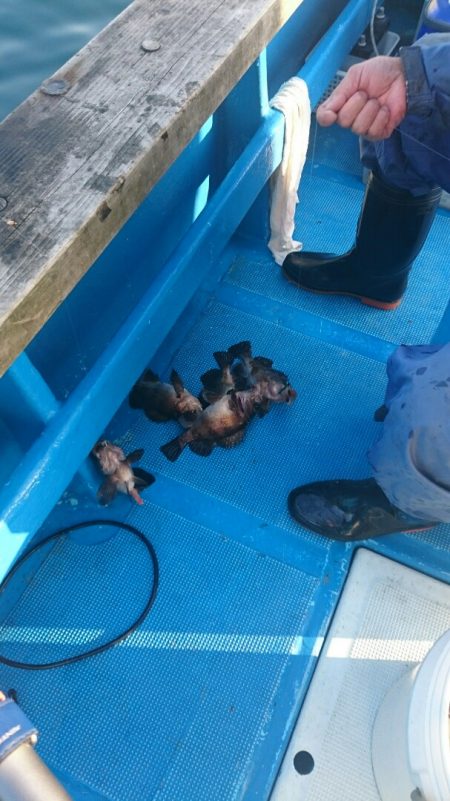 海龍丸（石川） 釣果