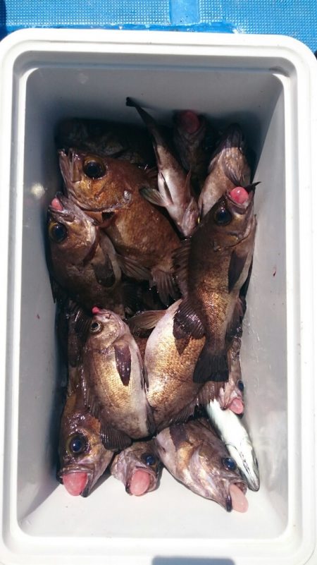 海龍丸（石川） 釣果