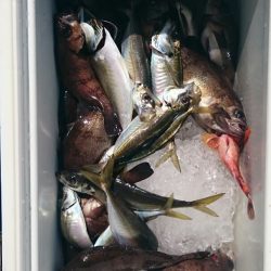 海龍丸（石川） 釣果