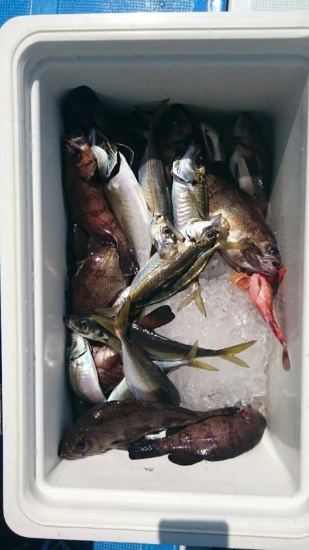 海龍丸（石川） 釣果