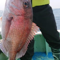 だて丸 釣果