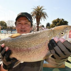 としまえんフィッシングエリア 釣果