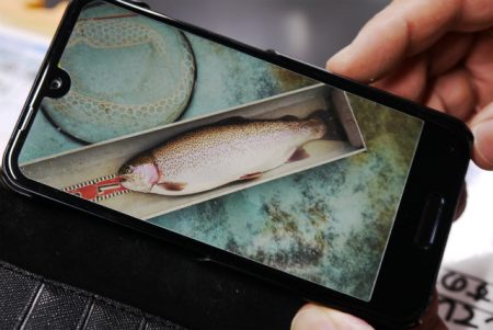 としまえんフィッシングエリア 釣果