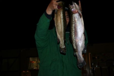 としまえんフィッシングエリア 釣果