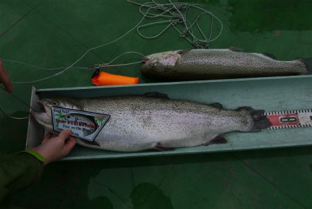 としまえんフィッシングエリア 釣果