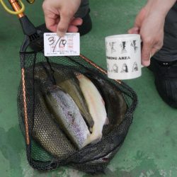 としまえんフィッシングエリア 釣果