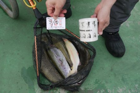 としまえんフィッシングエリア 釣果