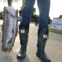 としまえんフィッシングエリア 釣果