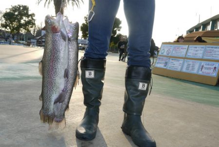 としまえんフィッシングエリア 釣果