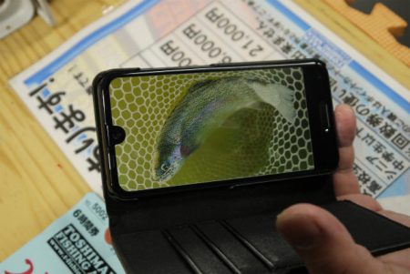 としまえんフィッシングエリア 釣果