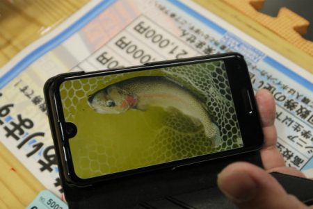 としまえんフィッシングエリア 釣果