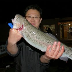 としまえんフィッシングエリア 釣果