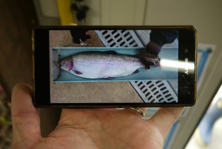 としまえんフィッシングエリア 釣果