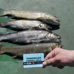 としまえんフィッシングエリア 釣果