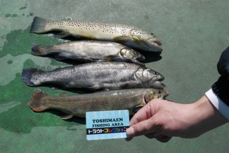 としまえんフィッシングエリア 釣果