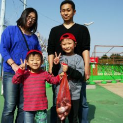 としまえんフィッシングエリア 釣果