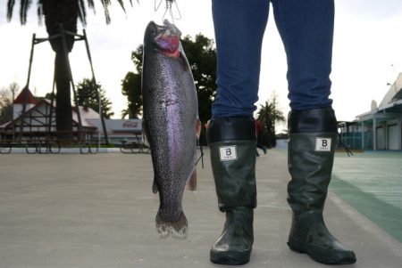 としまえんフィッシングエリア 釣果