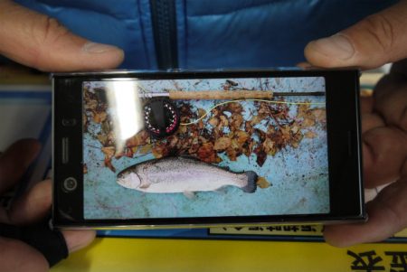 としまえんフィッシングエリア 釣果