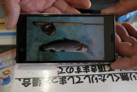 としまえんフィッシングエリア 釣果