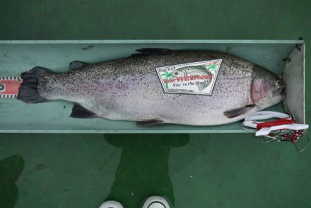 としまえんフィッシングエリア 釣果