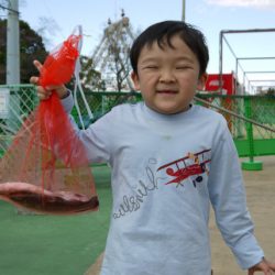 としまえんフィッシングエリア 釣果